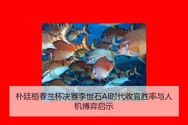 pu-ting-huan-chun-lan-bei-jue-sai-li-shi-shi-shi-dai-shou-guan-sheng-lv-yu-ren-ji-bo-yi-qi-shi-3-431.jpg