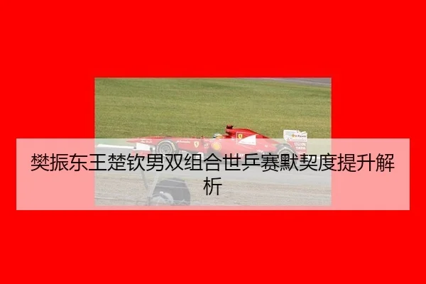 fan-zhen-dong-wang-chu-qin-nan-shuang-zu-he-shi-ping-sai-mo-qi-du-ti-sheng-jie-xi-2-329.jpg