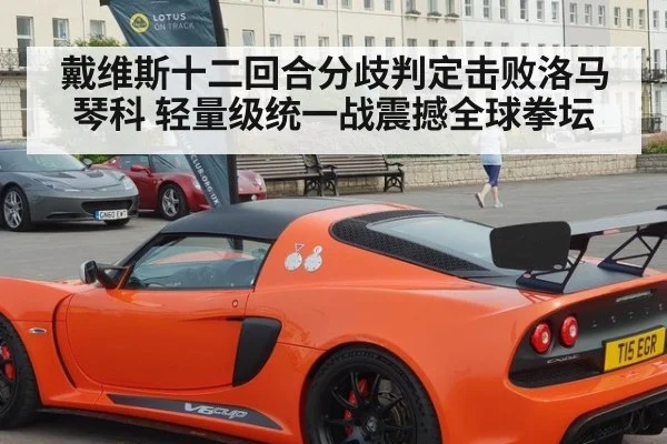 戴维斯十二回合分歧判定击败洛马琴科 轻量级统一战震撼全球拳坛