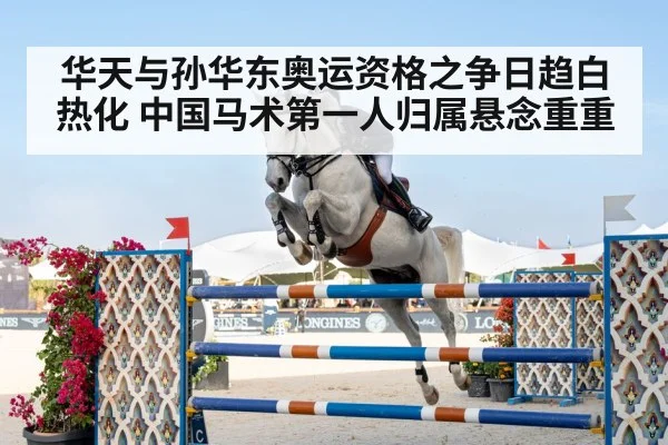 华天与孙华东奥运资格之争日趋白热化 中国马术第一人归属悬念重重